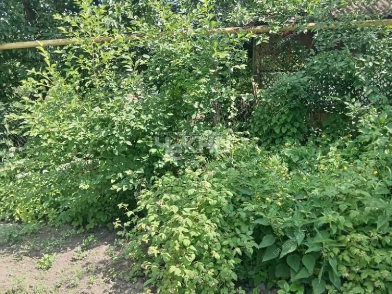 1/2 дома на улице А.Невского город Городец