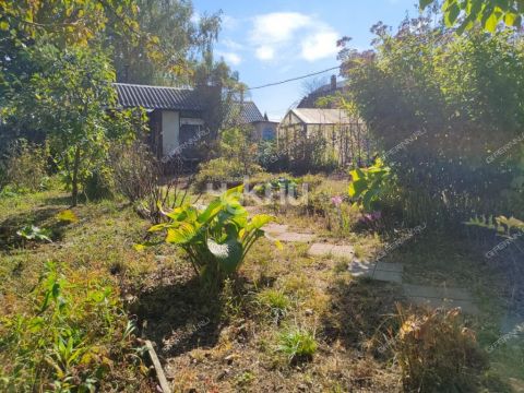 dacha-gorod-balahna-balahninskiy-municipalnyy-okrug фото