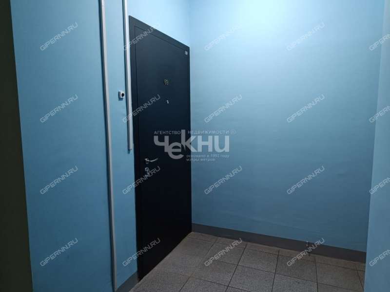 двухкомнатная квартира на улице Германа Лопатина дом 12 к1