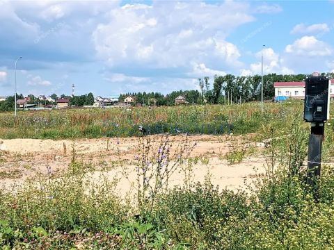 selo-kamenki-bogorodskiy-municipalnyy-okrug фото