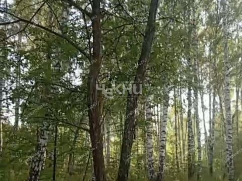 derevnya-dosadino-vadskiy-municipalnyy-okrug фото