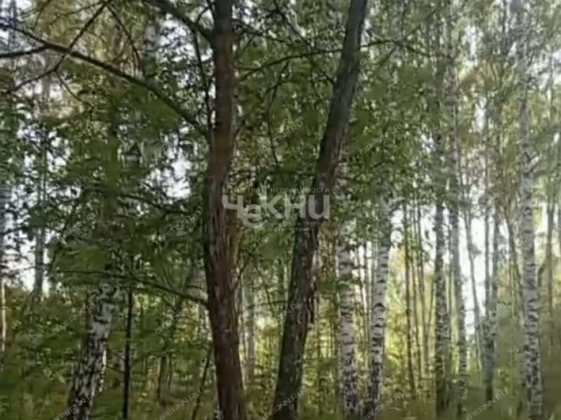 земельный участок 100 соток деревня Досадино