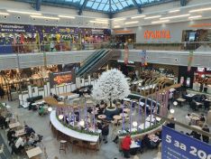 Владельцы нижегородских ТЦ просят пересмотреть стоимость аренды земли