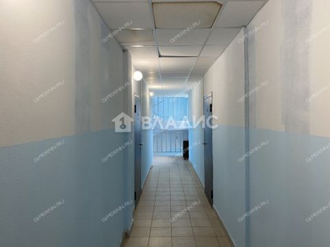 1-komnatnaya-derevnya-berezovka-bogorodskiy-municipalnyy-okrug фото