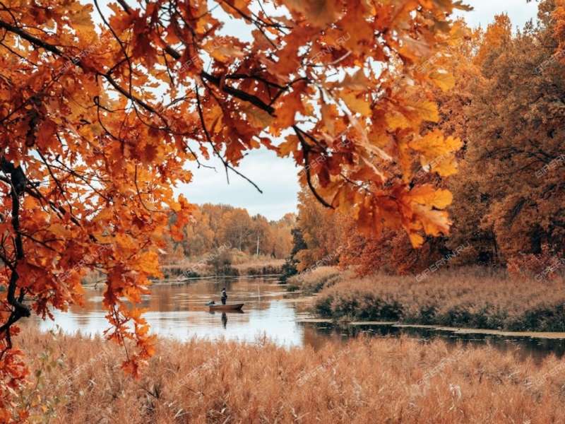 дом на улице Федотиха рабочий посёлок Гидроторф