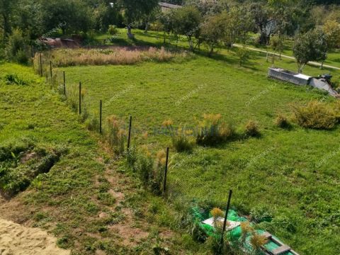 derevnya-ankudinovka-kstovskiy-rayon фото