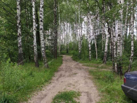 derevnya-zolotovo-gorodskoy-okrug-bor фото
