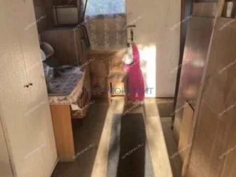 dacha-derevnya-novaya-puner-kstovskiy-rayon фото