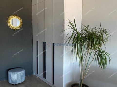 1-komnatnaya-pl-sennaya-d-1 фото