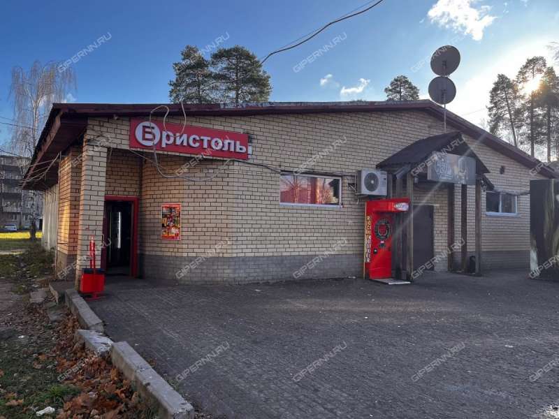 помещение под торговую площадь в микрорайоне Гоголя город Выкса