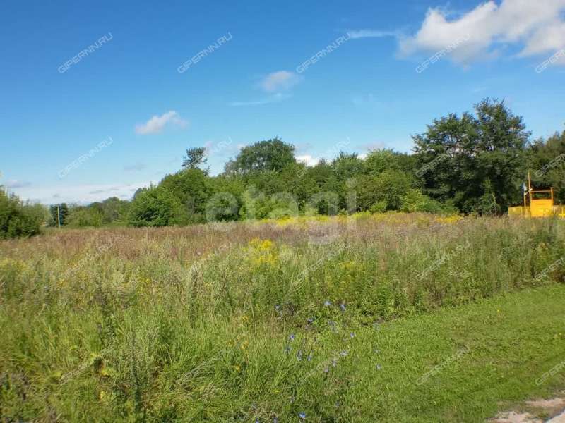 земельный участок 13,1 сотки улица Черкасский Порядок село Афанасьево