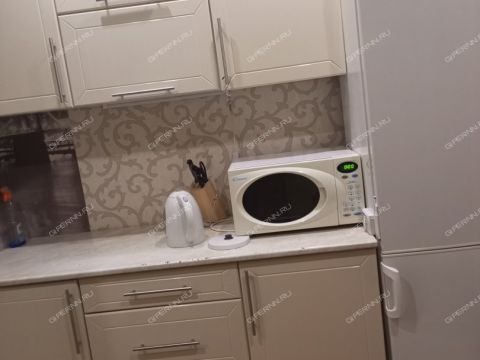 ul-shorina-d-8 фото