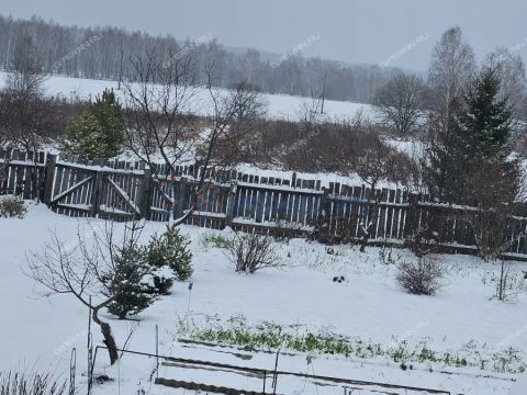 dom-derevnya-piyaichnoe-sosnovskiy-rayon фото