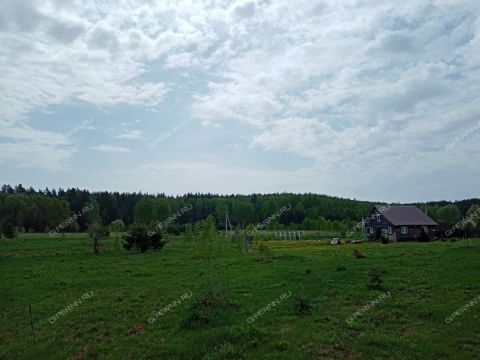 derevnya-nepecino-bogorodskiy-municipalnyy-okrug фото