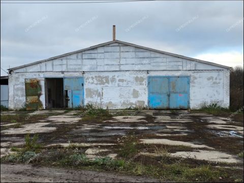 gorod-bogorodsk-bogorodskiy-municipalnyy-okrug фото