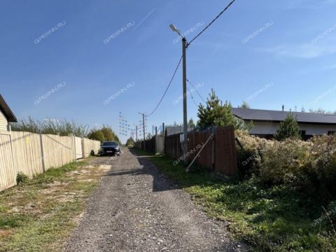 selo-arapovo-bogorodskiy-municipalnyy-okrug фото