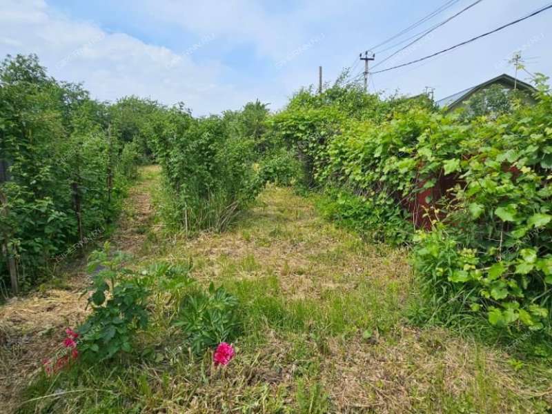 дом на Центральной улице село Доскино