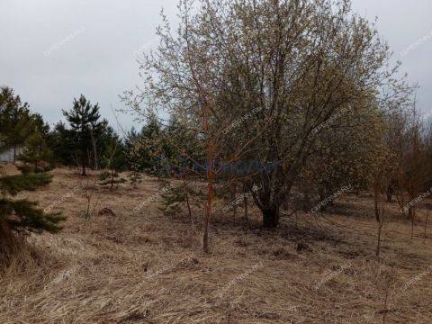 dp-cheshskie-sady-derevnya-nepecino-ter-bogorodskiy-municipalnyy-okrug фото