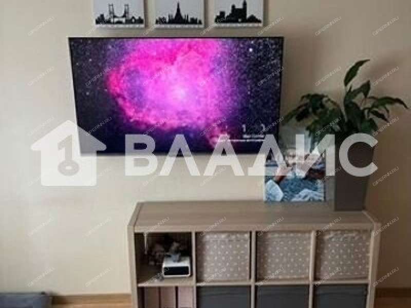 однокомнатная квартира на Русской улице улице дом 5 деревня Анкудиновка