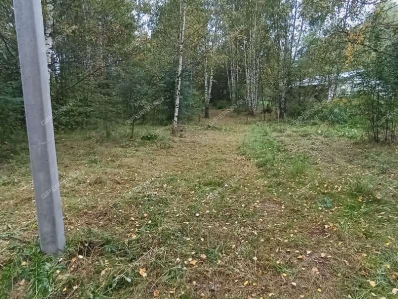 земельный участок 10 соток деревня Приклонное (Кантауровский сельсовет
