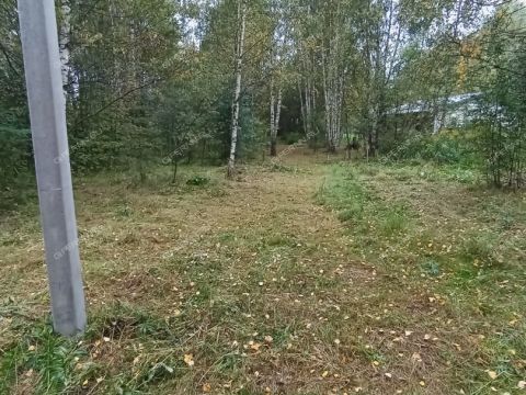 derevnya-priklonnoe-kantaurovskiy-selsovet-gorodskoy-okrug-bor фото