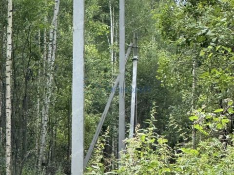 selo-kamenki-bogorodskiy-municipalnyy-okrug фото