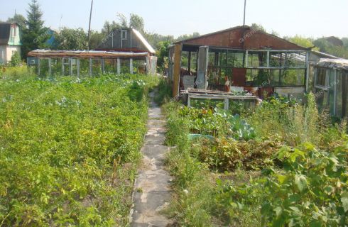 Купить Сад В Заволжье Городецкий Район