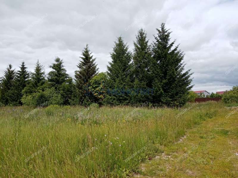 земельный участок 7,5 сотки Пригородная улица деревня Высоково