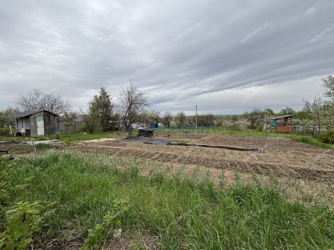 selo-dudenevo-bogorodskiy-municipalnyy-okrug фото