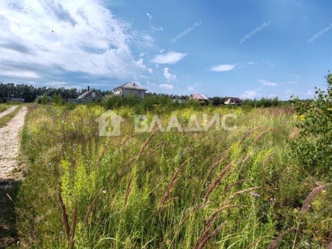 derevnya-kileley-bogorodskiy-municipalnyy-okrug фото