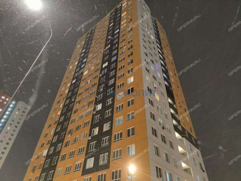 однокомнатная квартира на Черкесской улице дом 2 деревня Анкудиновка