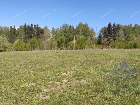 selo-vershilovo-gorodskoy-okrug-chkalovsk фото