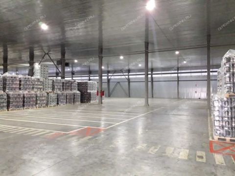 chaadaeva-ul-d-1 фото