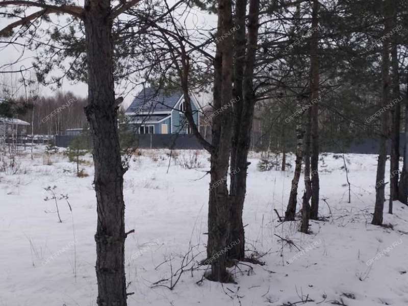 земельный участок 10,1 сотки Березовая пойма п