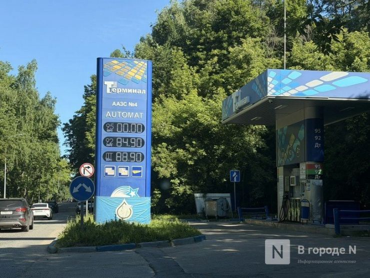 Фото: ИА «В городе N»