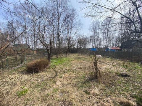 derevnya-syrohvatovo-gorodskoy-okrug-bor фото