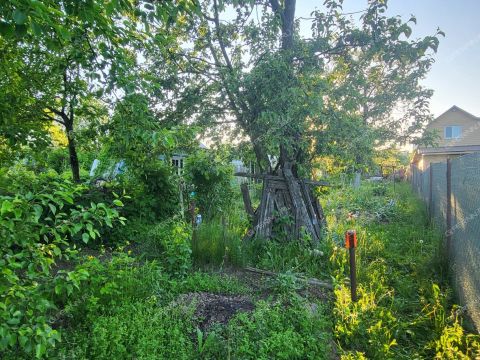 dacha-gorod-kstovo-kstovskiy-rayon фото