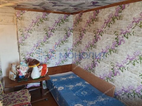 dacha-snt-druzhba-gorodskoy-okrug-bor фото