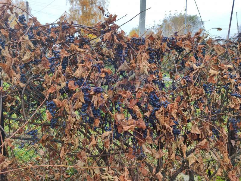 дом на Советской улице село Кечасово