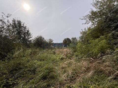 dom-derevnya-prudy-pavlovskiy-municipalnyy-okrug фото