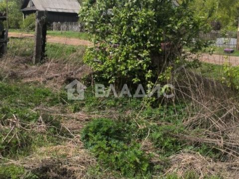 derevnya-apraksino-gorodskoy-okrug-bor фото