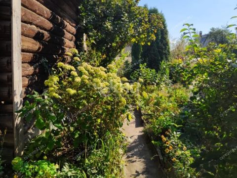 dacha-gorod-balahna-balahninskiy-municipalnyy-okrug фото