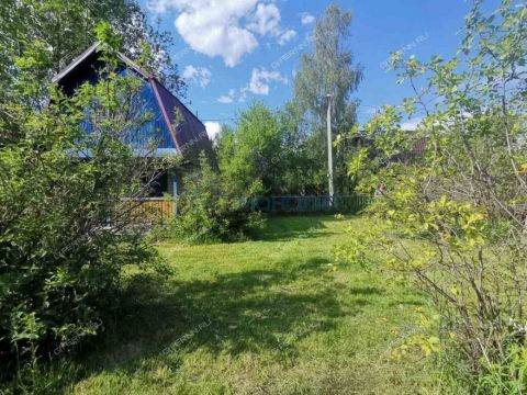 dacha-gorod-bor-gorodskoy-okrug-bor фото