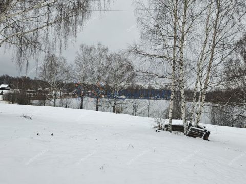 dom-derevnya-piyaichnoe-sosnovskiy-rayon фото